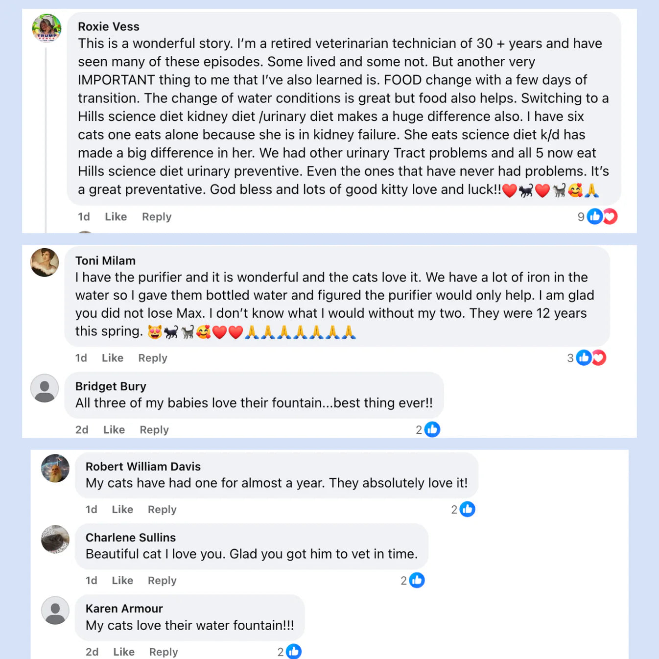 Protect your cat from dehydration and urinary emergencies with Purrify